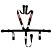 Latch & Link 5 Point Harness Set - Black, 2 In.
